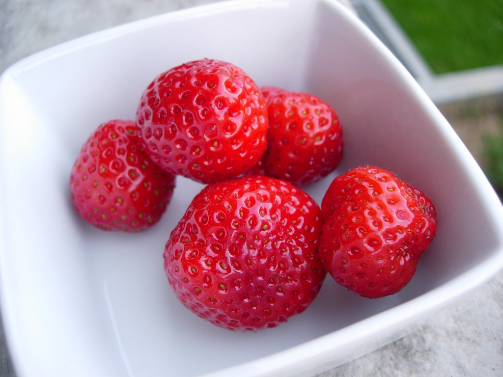 La petite récolte. Un vrai goût de fraises !